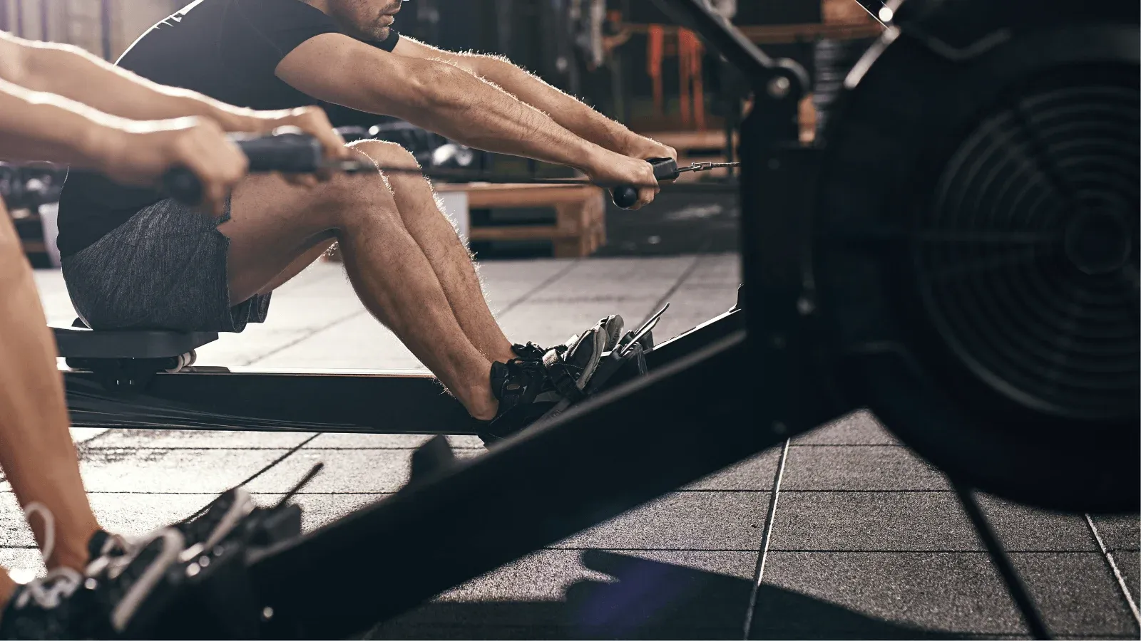Athletes on indoor rowing machines